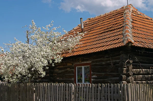 Rural architecture — Stock Photo, Image