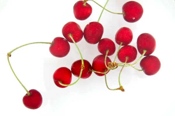 Cherry groep — Stockfoto