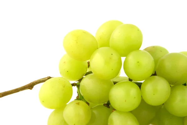 Ampliação da uva — Fotografia de Stock