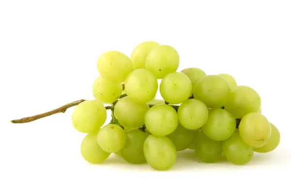 Winogron jednego — Zdjęcie stockowe