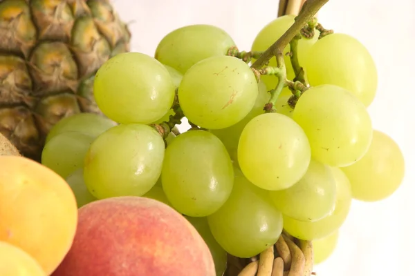 Dettaglio uva — Foto Stock