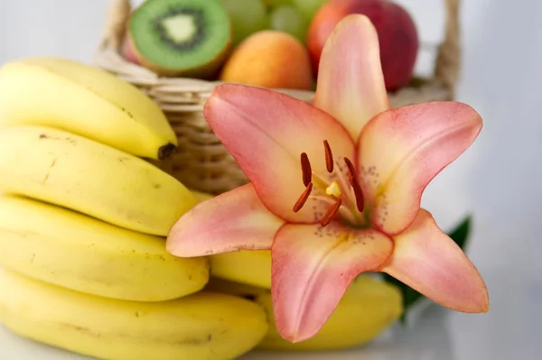 Lilie und Bananen — Stockfoto