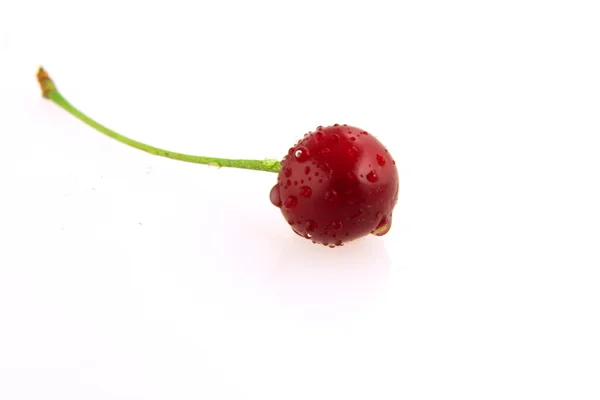 Morello cherry perspectief — Stockfoto