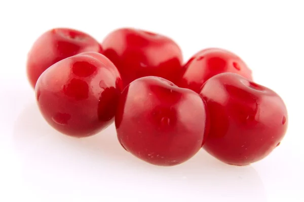 Morello cherry groep — Stockfoto