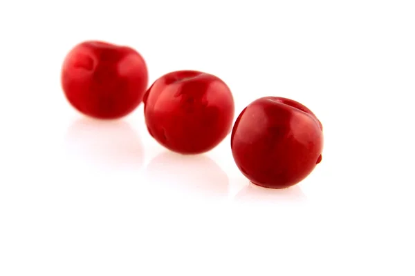 Morello cherry lijn — Stockfoto