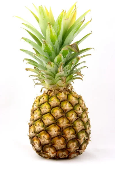 单菠萝 — 图库照片
