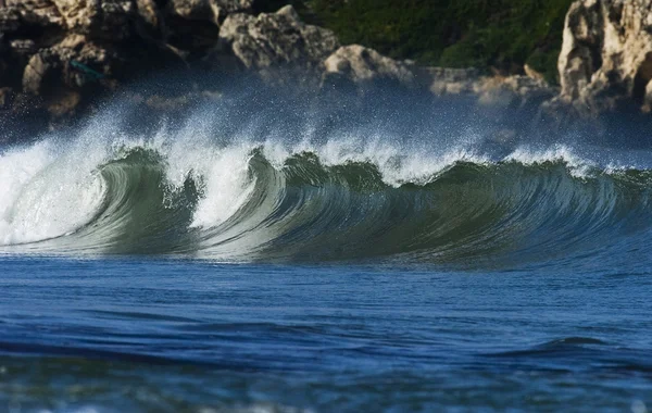 Stock image Ocean wave