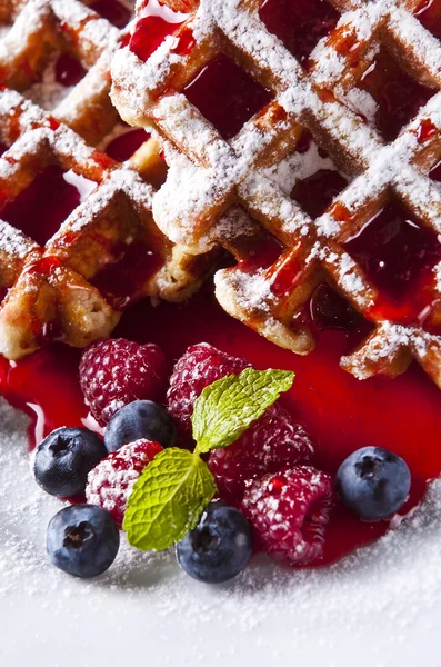 stock image Waffles