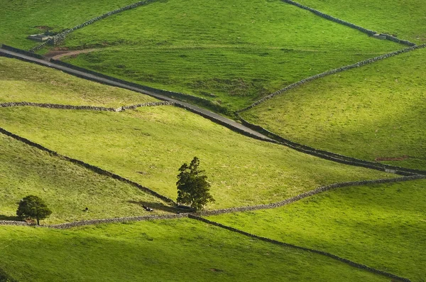 stock image Acores