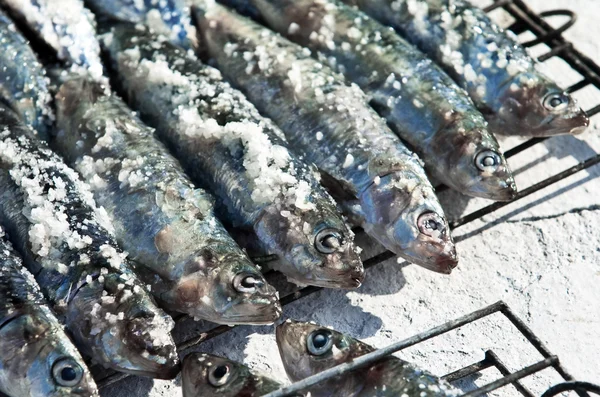 stock image Grilled sardines