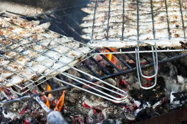 stock image Grilled sardines