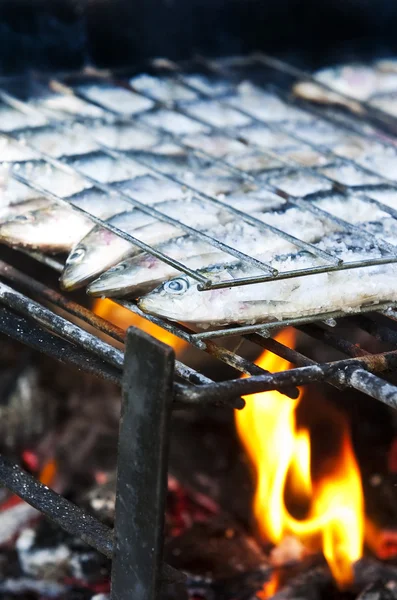 stock image Grilled sardines