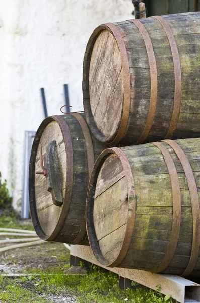 stock image Wine barrels