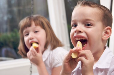 Sister and Brother Eating an Apple clipart