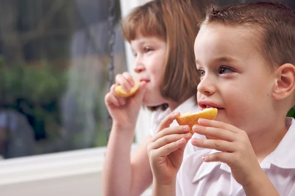 Iki sevimli çocuk yeme elma — Stok fotoğraf