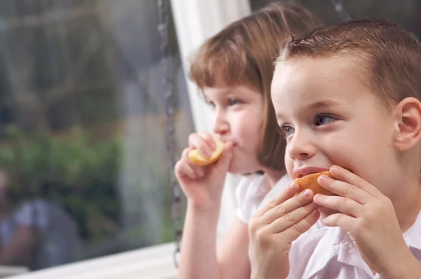 Sorella e fratello mangiare frutta — Foto Stock