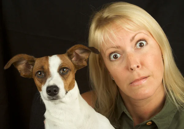 Mujer y su gato russel terrier perro — Foto de Stock