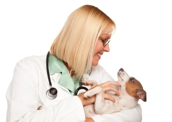 Ветеринар женского пола с щенком — стоковое фото