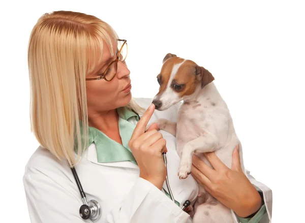 Γυναίκα γιατρό κτηνίατρο με κουτάβι — Φωτογραφία Αρχείου