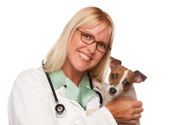 Ветеринар женского пола с щенком — стоковое фото