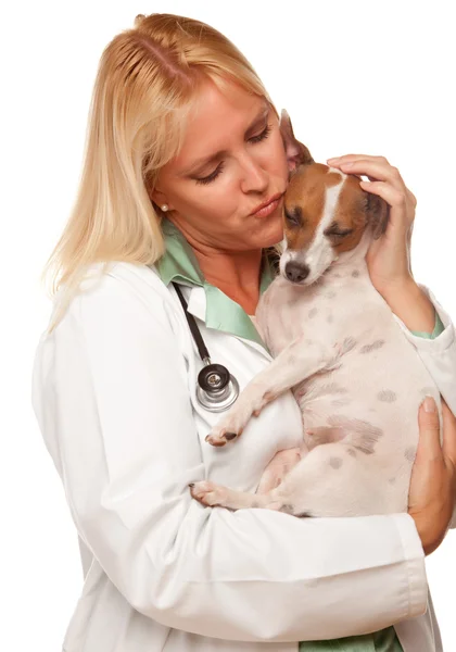 Kadın doktor veteriner ve köpek yavrusu — Stok fotoğraf