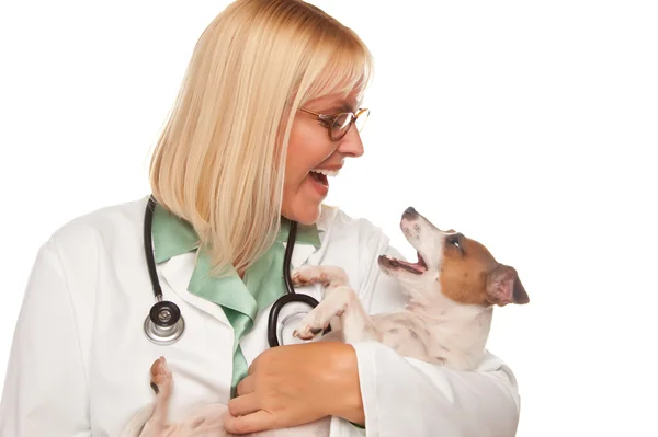 Female Doctor Veterinarian and Puppy — Stock Photo, Image