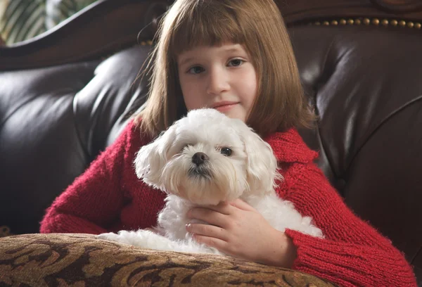 Sladká mladá dívka představuje s její maltském štěně — Stock fotografie