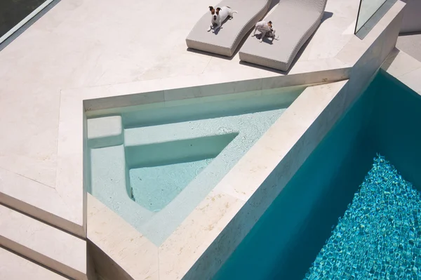 Chiens bénéficiant d'une piscine de luxe personnalisée — Photo
