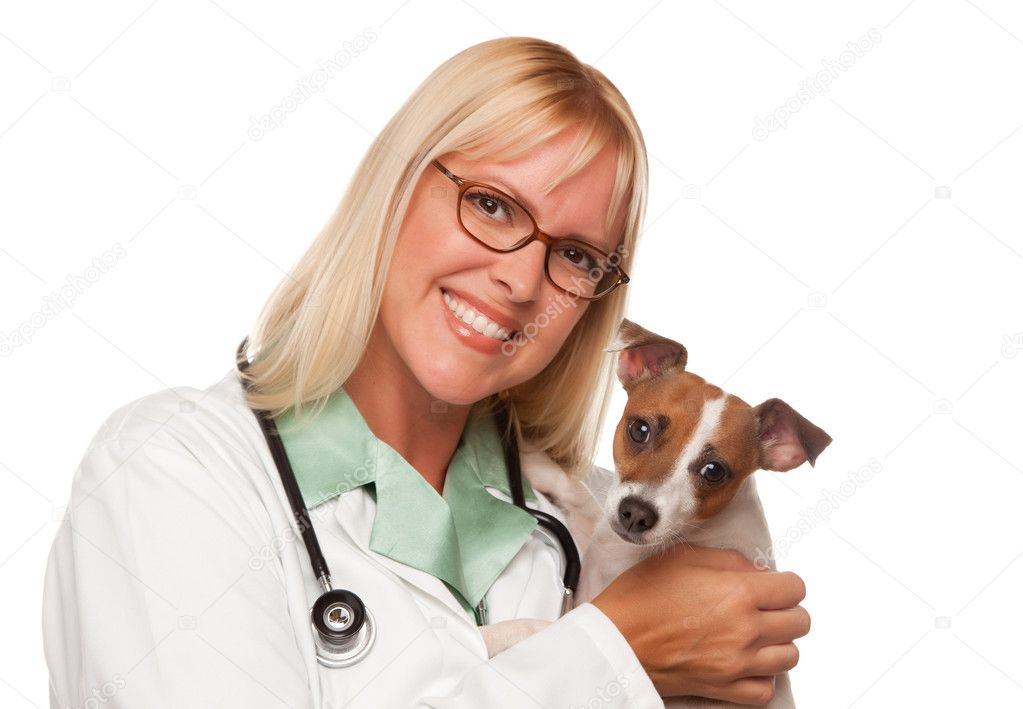 Female Doctor Veterinarian with Puppy
