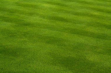 Fresh Cut Grass clipart