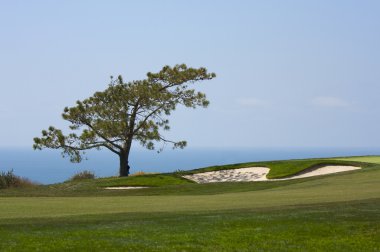 View from Torrey Pines Golf Course clipart