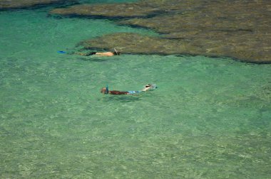 berrak Tropik sulardaki snorkelers