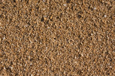 Tropical Sand Surface and Shells Background Image clipart