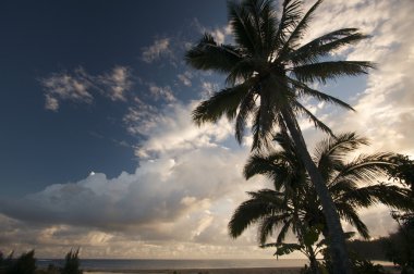 palmiye ağaçları ve bulutlar tropikal günbatımı.