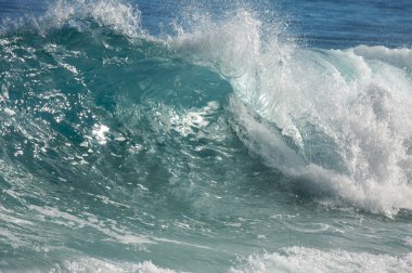 Dramatic Shorebreak Wave on a clear morning. clipart
