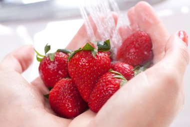 Woman Washing Strawberries in Sink clipart