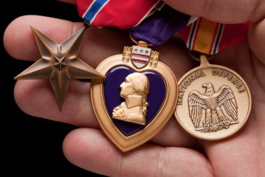 Man Holding Purple Heart and War Medals clipart