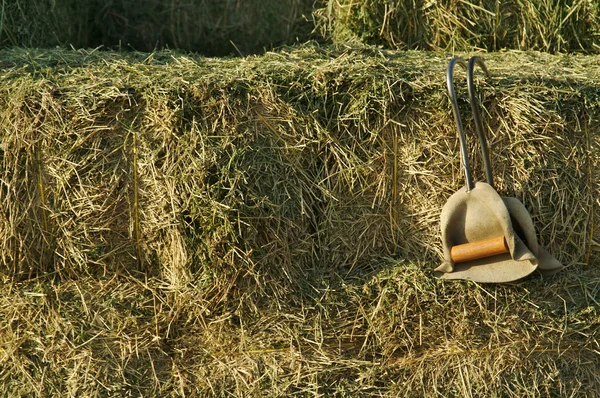 Штабелироваться соломы сено поручительств — стоковое фото