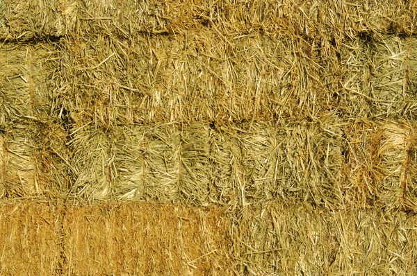Штабелироваться соломы сено поручительств — стоковое фото