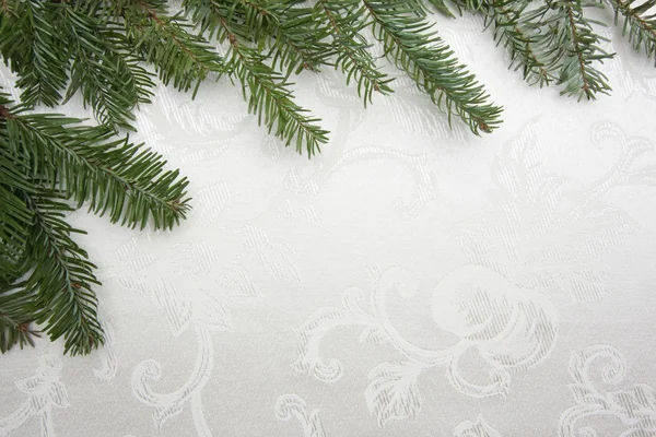 Ramo di pino incorniciato sfondo di Natale — Foto Stock