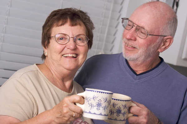 Glückliche Senioren erwachsenes Paar Portrait — Stockfoto