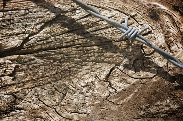Textura de madera envejecida y alambre de púas — Foto de Stock