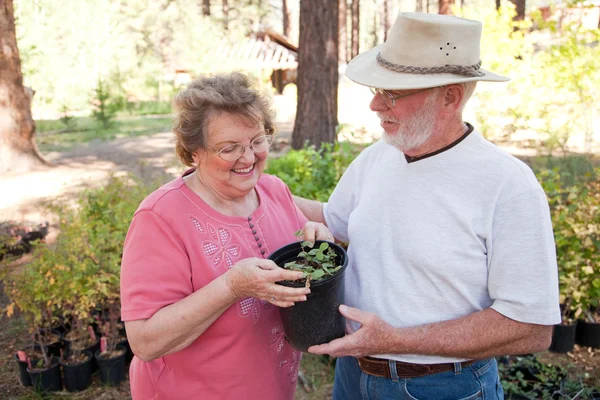 Miłości para starszych cieszyć ogrodnictwo razem — Zdjęcie stockowe