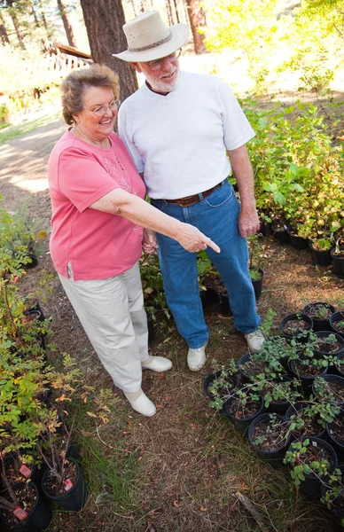 Amar a una pareja mayor disfrutando de la jardinería juntos — Foto de Stock