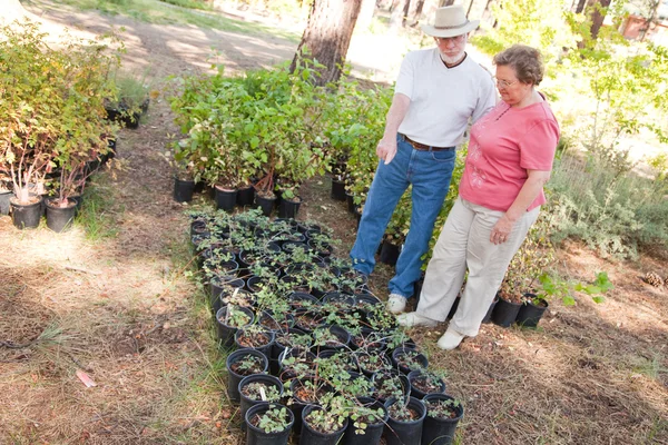 Aktywny senior para wychodzą na rośliny doniczkowe — Zdjęcie stockowe