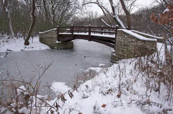 Hermoso puente de madera sobre corriente congelada — Foto de Stock
