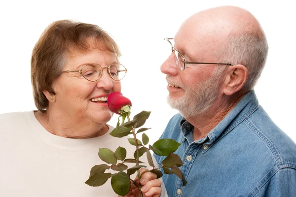 Ευτυχισμένο ζευγάρι ανώτερος με κόκκινο τριαντάφυλλο που απομονώνονται σε λευκό — Φωτογραφία Αρχείου