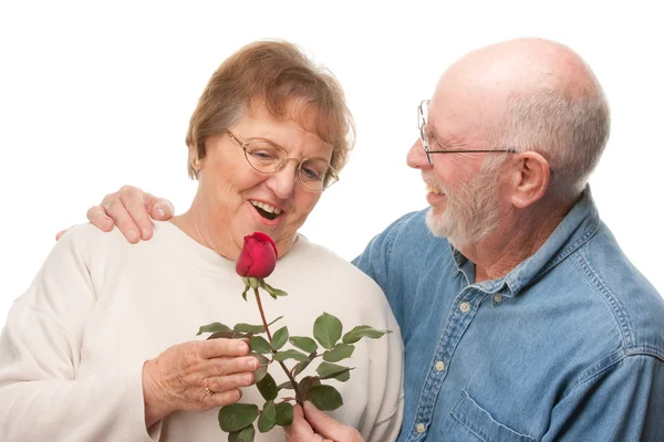 Šťastný starší pár s červenou růží — Stock fotografie