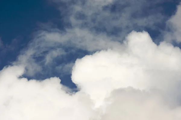 Білий Cumulus хмари — стокове фото