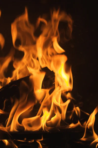 stock image Dramatic Flames Against A Dark Background